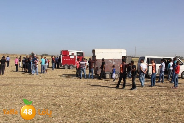 horse race 0602 (77).JPG